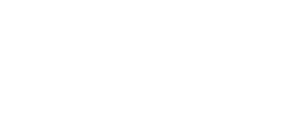 Neptune Skip Bins